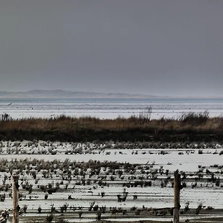 Suedblick 2 Whg 8